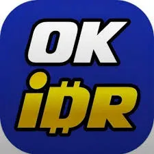 OKIDR - Tantangan Seru dalam Puzzle Membangun Logika